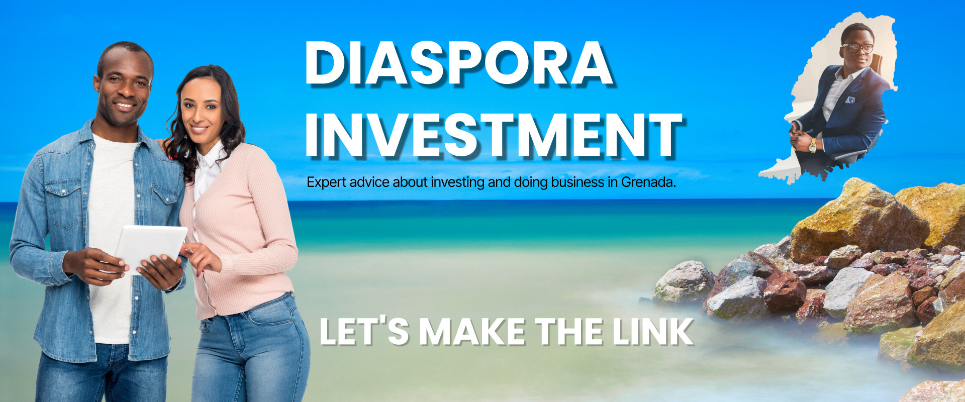 Diaspora Investment